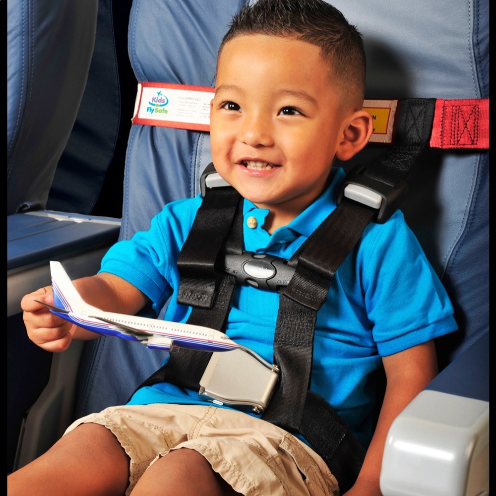 Care Airplane safety harness